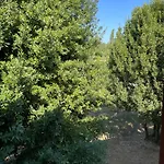Taverna Dei Guelfi סניגליה