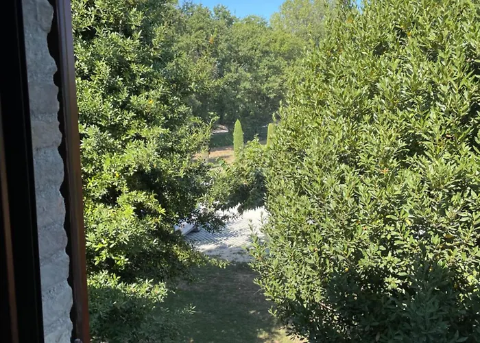 Farm stay Taverna Dei Guelfi *